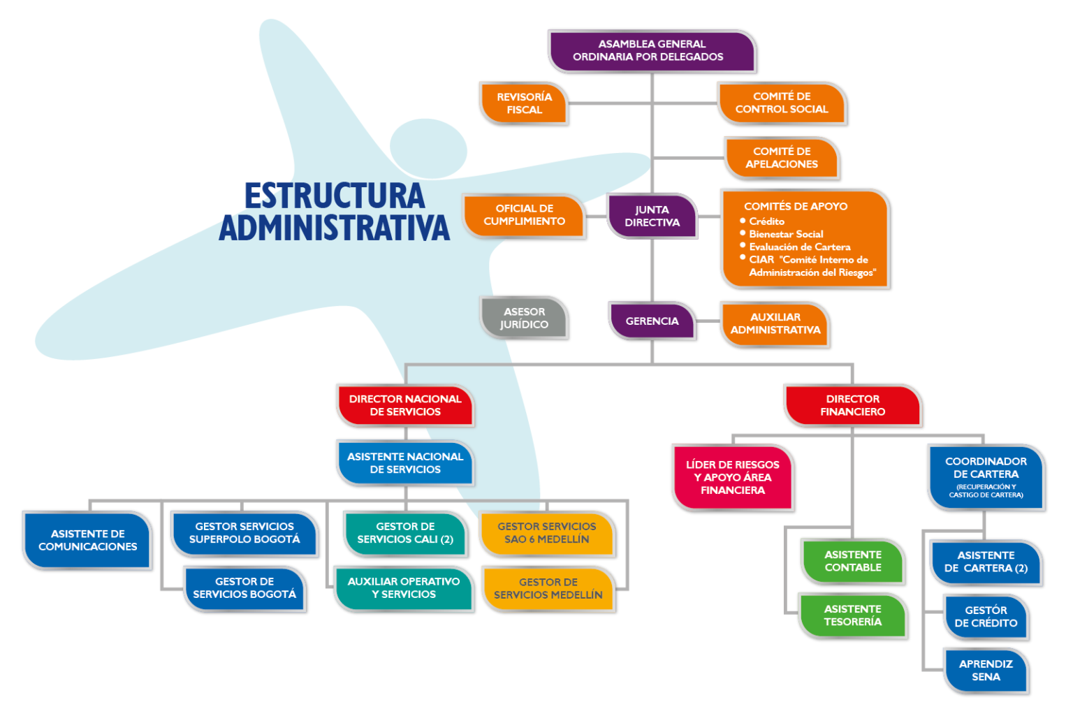 Responsables Y Estructura Administrativa De Un Proyecto